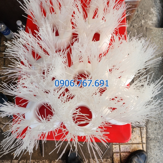 Chổi cc ngh