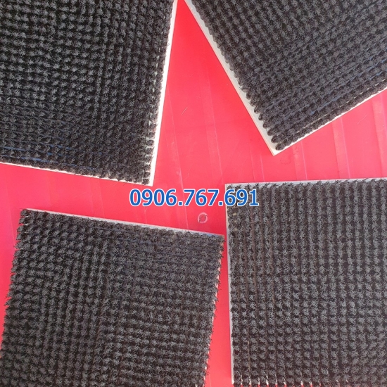 Bàn chải cg ngiep