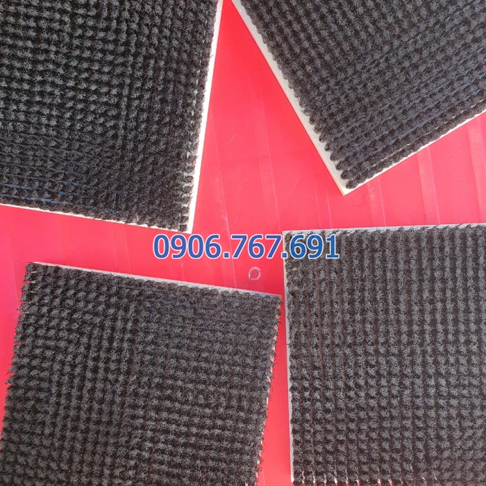 Bàn chải cg ngiep